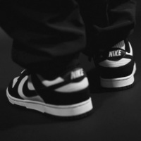 Nike Dunk Low Preto e Branco